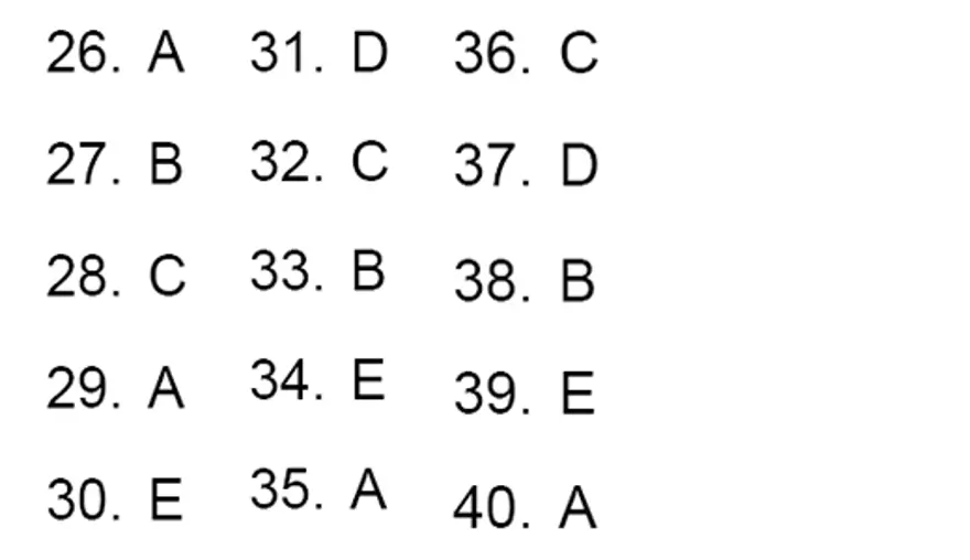 YGS Türkçe Soru ve Yanıtları 41