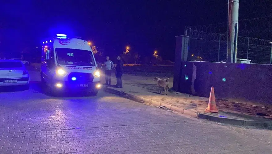 Aydın'da öğrenci yurdunda asansör kazası: Zeren Ertaş hayatını kaybetti 4