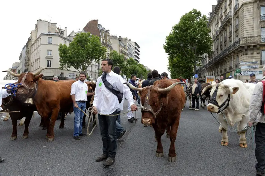 Hayvan yetiştiricileri Paris'te 