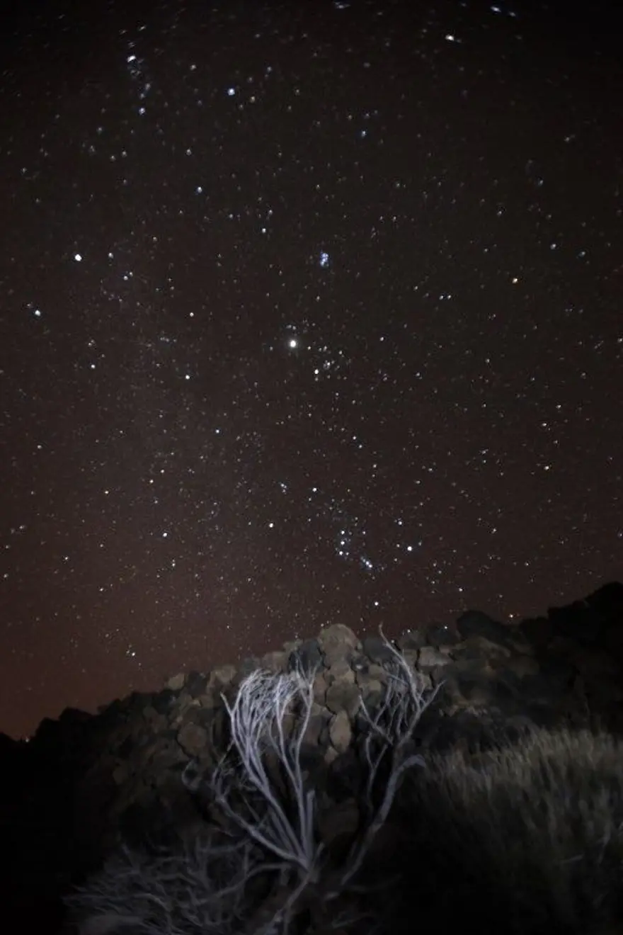 Geminid Meteor Yağmuru'ndan geriye bu kareler kaldı 41