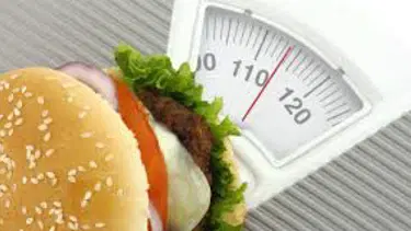 "Ulusal Obezite Veritabanı" oluşturuldu