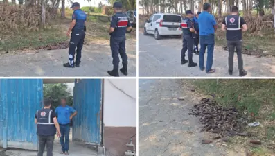 Patlıcanları yere döktü: 17 milyon liralık ceza