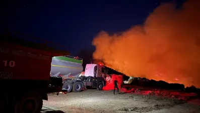 Çanakkale'yi yakan yangının çıkış sebebi belli oldu