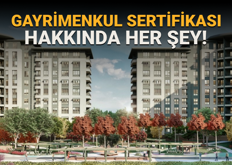 15 soruda Gayrimenkul Sertifikası: Gayrimenkul Sertifikası nedir? Sertifika ile nasıl ev sahibi olunur?