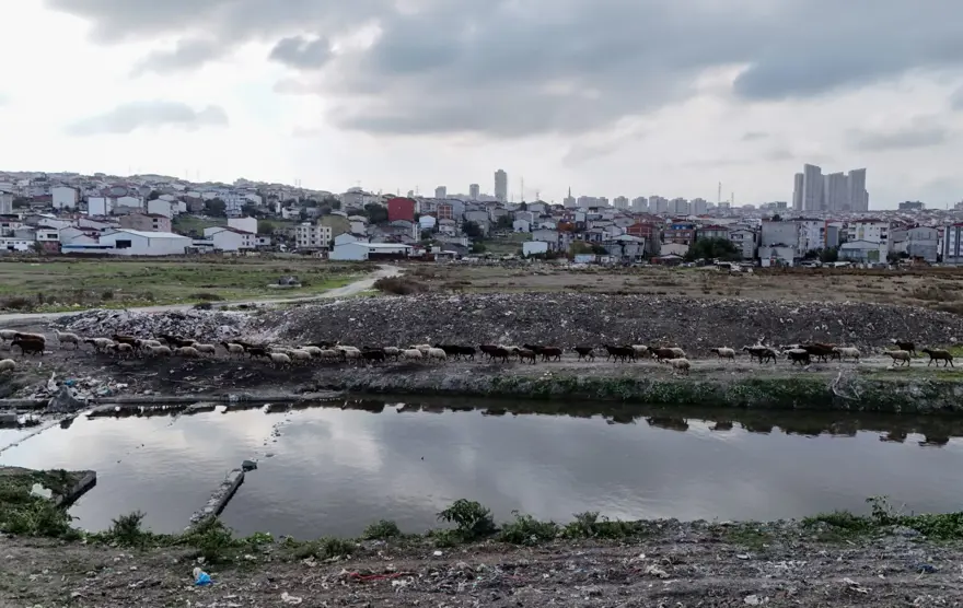 Siyaha büründü, kirlilik saçıyor: Ağır bir koku var 2