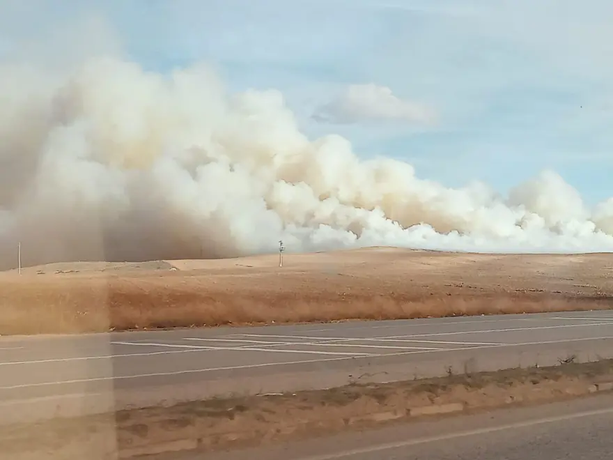 Mısır tarlasında korkutan yangın 1 Mısır tarlasında korkutan yangın 1