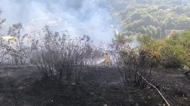 Zonguldak'ta 2 dekarlık alanda yangın