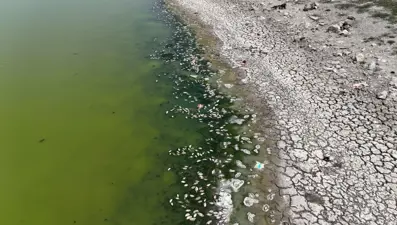 Gölete kimse yaklaşamıyor: Ankara korkutan tablo