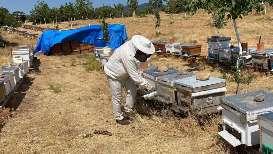 D&uuml;nyanın en iyisini Eskişehir'de &uuml;retti: 2 bin 925 prolin değeri var 1