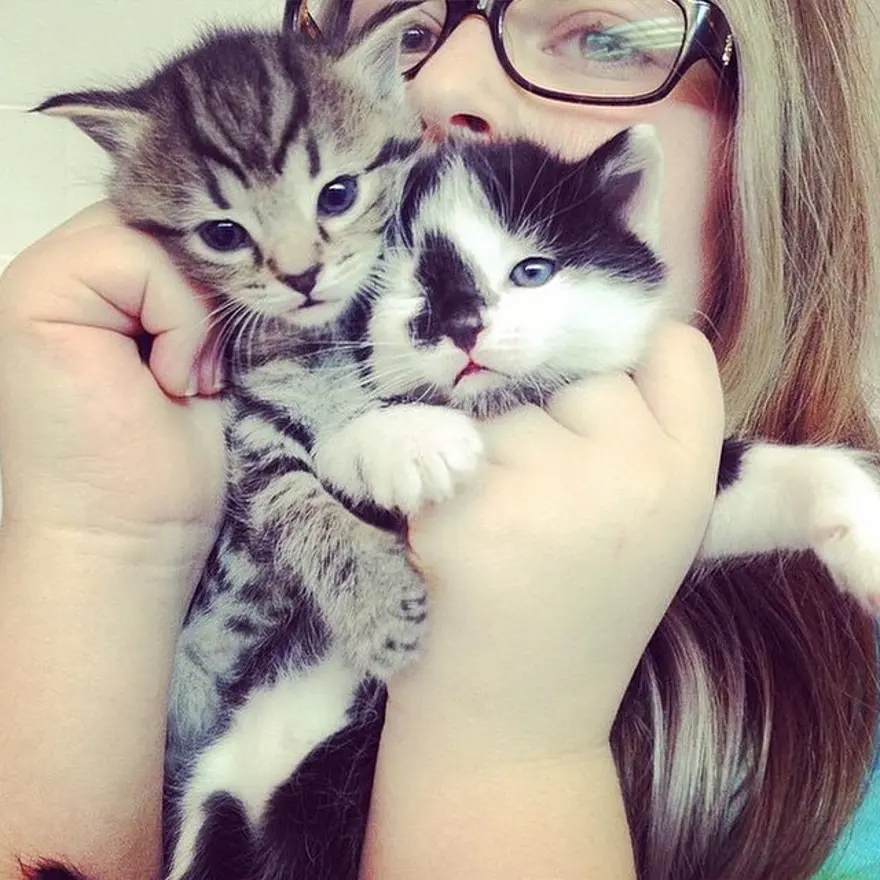 Hayatını kedileri kurtarmaya adadı 104