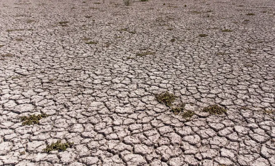 ÖNLEM ALINMAZSA TAMAMEN YOK OLACAK 5