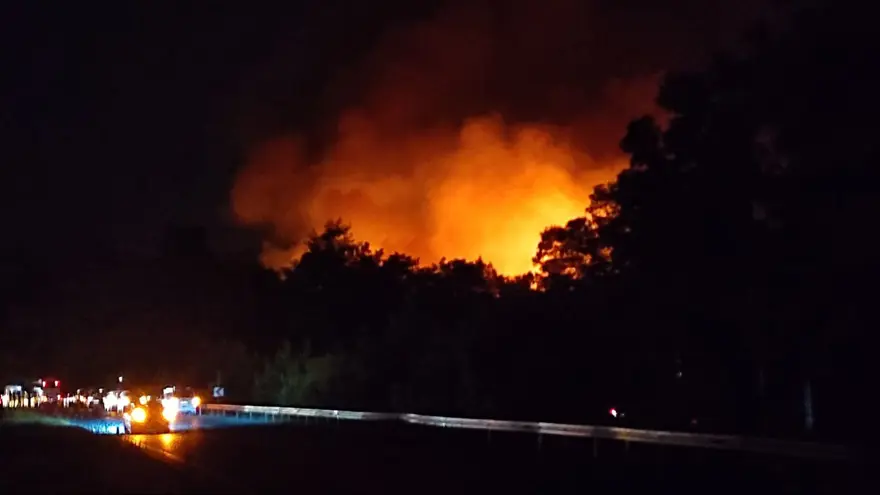 Manisa, Kahramanmaraş ve Antalya'da orman yangınları 15