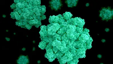 Hepatit virüsleri her üç kişiden birini tehdit ediyor