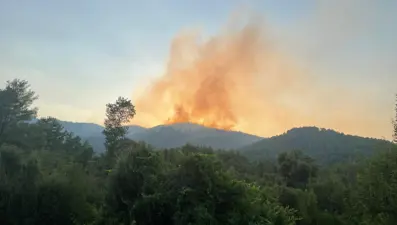 Burdur'da orman yangını