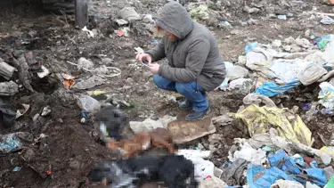 Çöplükte yakılmış kedi ve köpek cesetleri bulundu