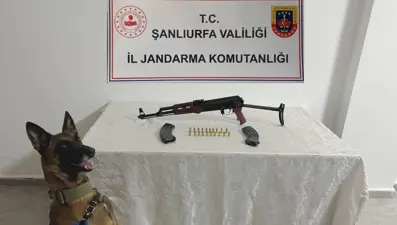 Şanlıurfa’da ruhsatsız silah operasyonu
