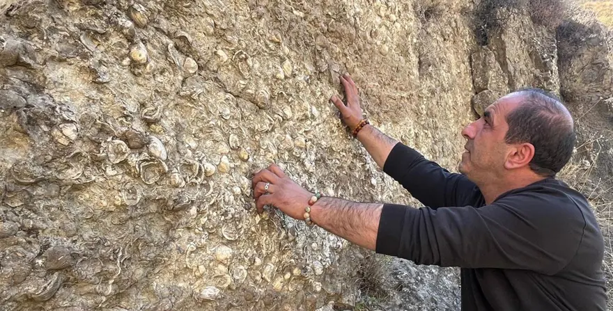 Erzurum'da bulundu: 200 milyon yıl öncesine ait 