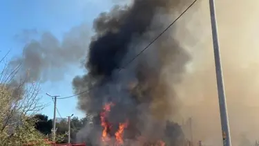 Bodrum'da sazlık alanda yangın