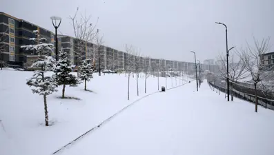 Muş&#x27;ta kar nedeniyle 15 köy yolu kapandı