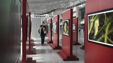 Hayalet Ağlar ve Marmara'ya hayat verenler fotoğraf sergisi açıldı