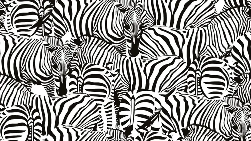 Kafa karıştıran zeka sorusu sosyal medyada gündem oldu: İnsanların yüzde 90'ı çözemiyor! 52 Kafa karıştıran zeka sorusu sosyal medyada gündem oldu: İnsanların yüzde 90'ı çözemiyor! 52