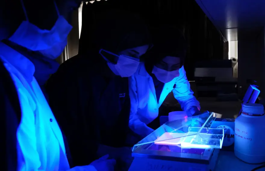 Türkiye'nin ilk 'mRNA' aşısı, hayvan deneyleri aşamasına geldi 4