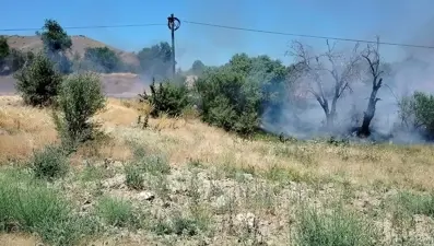 Elazığ'da yangın: Onlarca dönümlük alan kül oldu