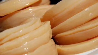 Yoğurttan daha fazla probiyotik içeren 5 besin: Sindirimi ve bağışıklığı güçlendiriyor