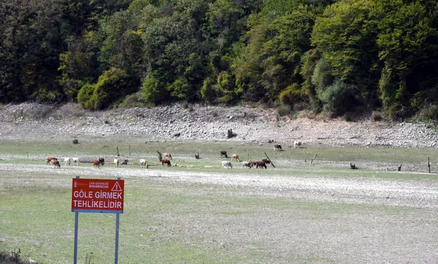 Trakya'da, İstanbul'un suyunu karşılayan barajlar kurudu 2