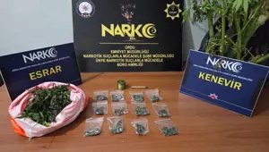 Ordu’da uyuşturucu operasyonu: 2 tutuklama