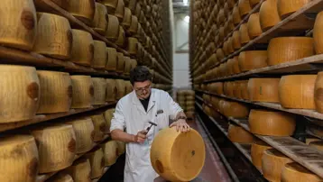 Yılda yaklaşık 4,5 milyar euro kazandırıyor. Kavurucu sıcaklar meşhur peyniri de vurdu