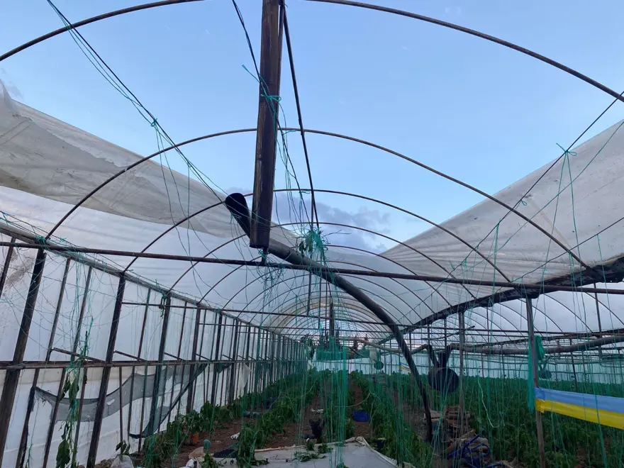 Antalya’da çıkan hortum ev ve seralara zarar verdi 6