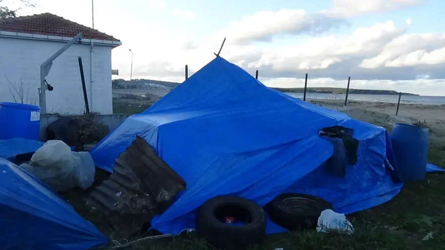 İstanbul'dan Sinop'a gelip toplamaya başladılar: 1 ay boyunca ormanda, dağlarda dolaşıyorlar 2