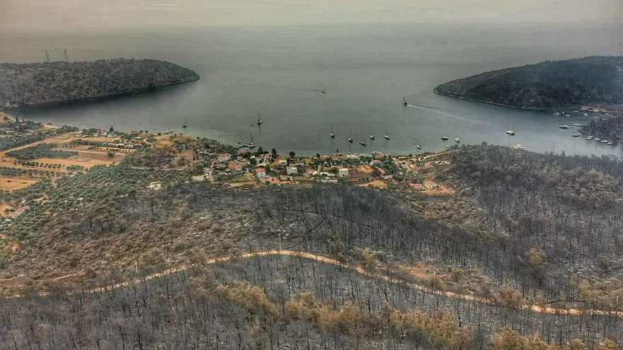 Bodrum ve Milas'ta yanan alanlar havadan görüntülendi 38 Bodrum ve Milas'ta yanan alanlar havadan görüntülendi 38