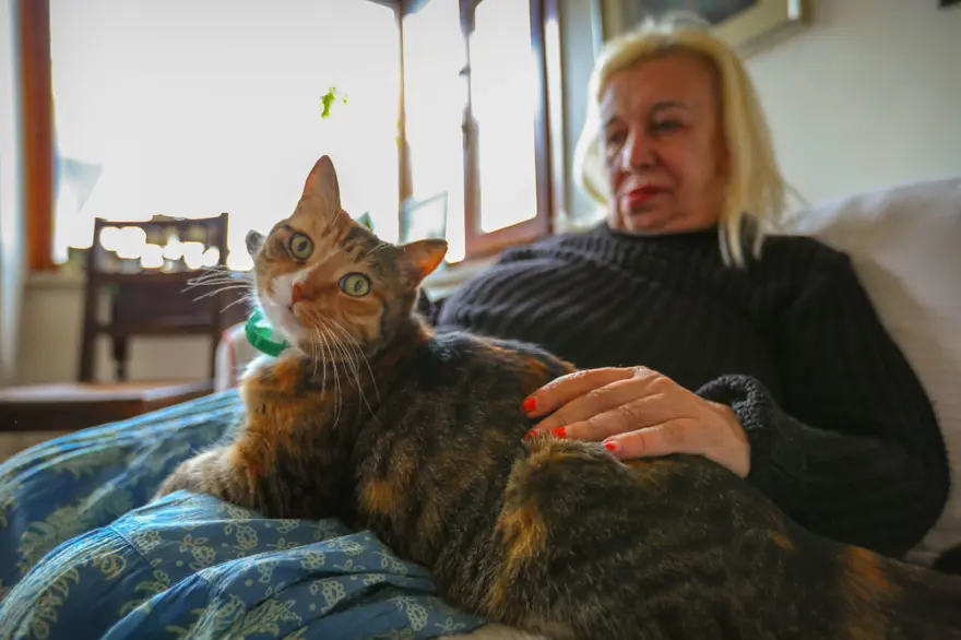 KEDİLERİN TARİHTEKİ ROLLERİ 4