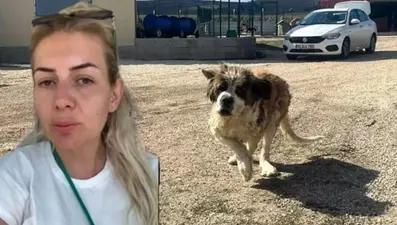 Kuduz köpek davası: Buket Özgünlü Boyacı hakkında karar