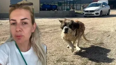 Kuduz köpek davası: Buket Özgünlü Boyacı hakkında karar