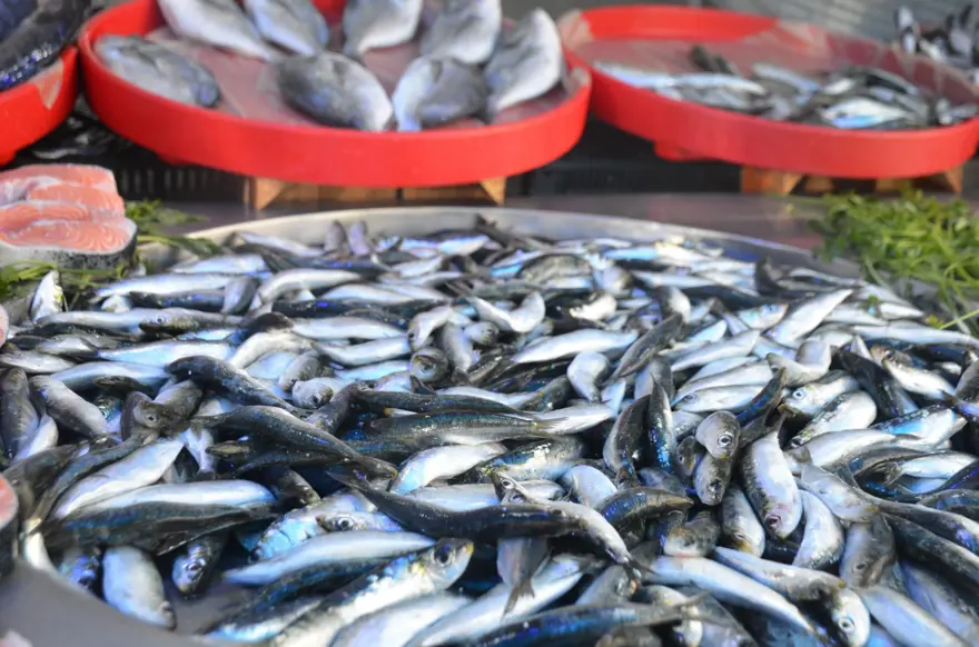 Bu yıl tezgahların şampiyonu oldu: Kilosu 200 TL'den satılıyor 1 Bu yıl tezgahların şampiyonu oldu: Kilosu 200 TL'den satılıyor 1