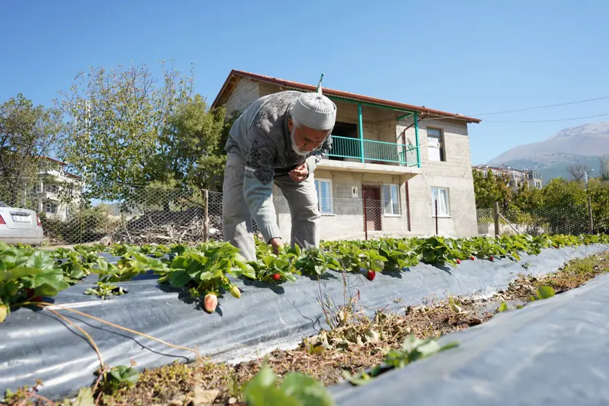 85 yaşındaki İbrahim dedenin "Hayır Bahçesi": 30 yıldır ücretsiz dağıtıyor 2