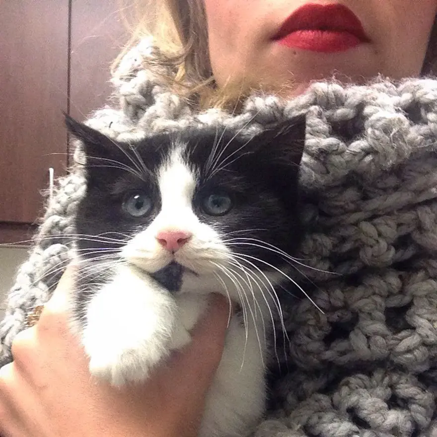 Hayatını kedileri kurtarmaya adadı 123