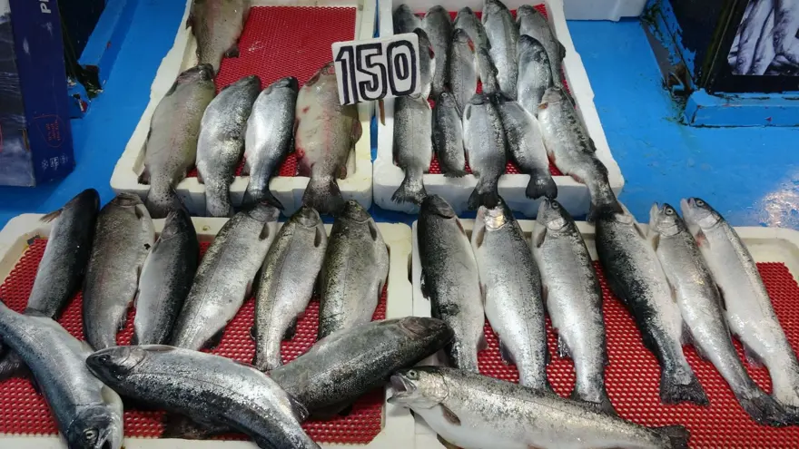 Yasak başladı: Tezgâhlar onlara kaldı 4