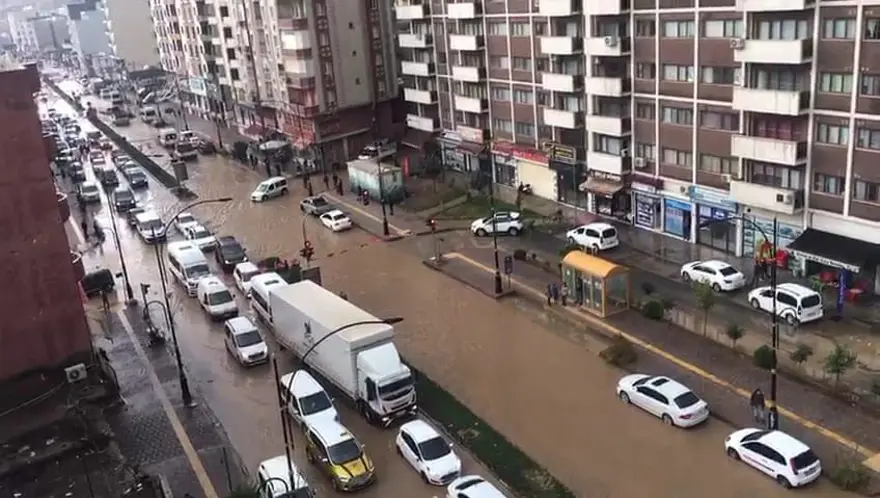 Mardin ve Şırnak'ta sağanak: Evleri su bastı 1