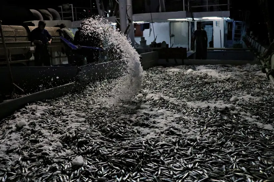 Balıkçılar "vira bismillah" dedi 21