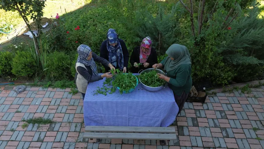Taze naneden üretiliyor, 1 kaşığı nefes açıyor: Şişesi 200 lira 5