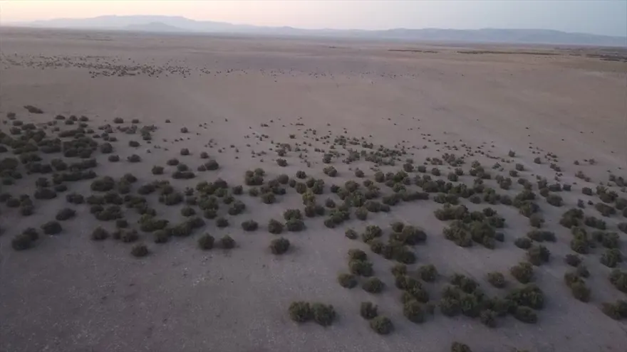 Tamamen kuruyan Akşehir Gölü'nün tabanında su bulundu 4 Tamamen kuruyan Akşehir Gölü'nün tabanında su bulundu 4