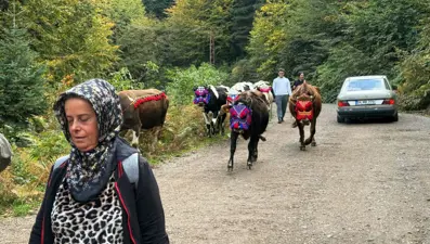 Asırlık gelenek sürdürülüyor: Renkli dönüş şöleni