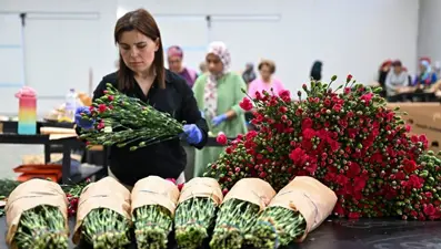 Türkiye'de Anneler Günü yoğunluğu: 30 ülkeye 10 milyon dolarlık çiçek ihracatı
