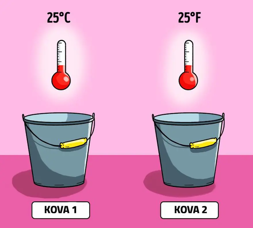Hangisi en fazla ağırlığı taşıyor? (İlginç zeka soruları) 2