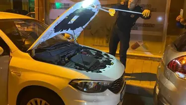 Seyir halindeki aracın kaputundan yılan çıktı