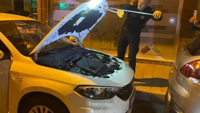 Seyir halindeki aracın kaputundan yılan çıktı